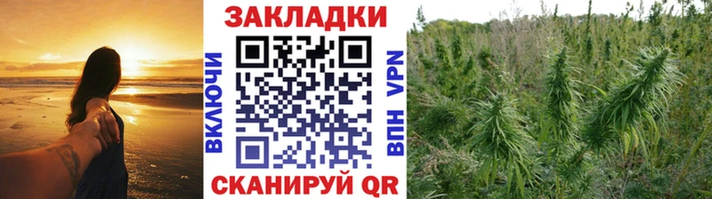 Где купить Ладушкин Галлюциногенные грибы Бошки Шишки Меф ГАШ АМФ
