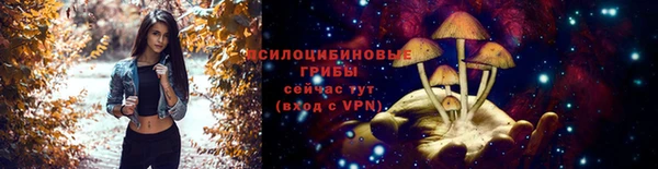 спиды Кулебаки
