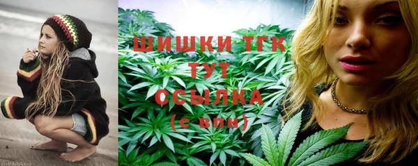 спиды Ладушкин