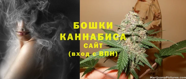 спиды Ладушкин